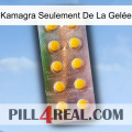 Kamagra Seulement De La Gelée new11